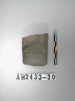 藏品(小型磨製石錛)的圖片